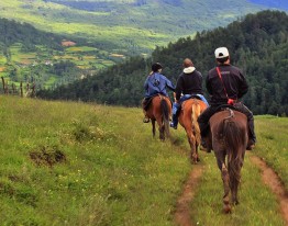 Canter-and-gallop-on-horses-in-Bumthang
